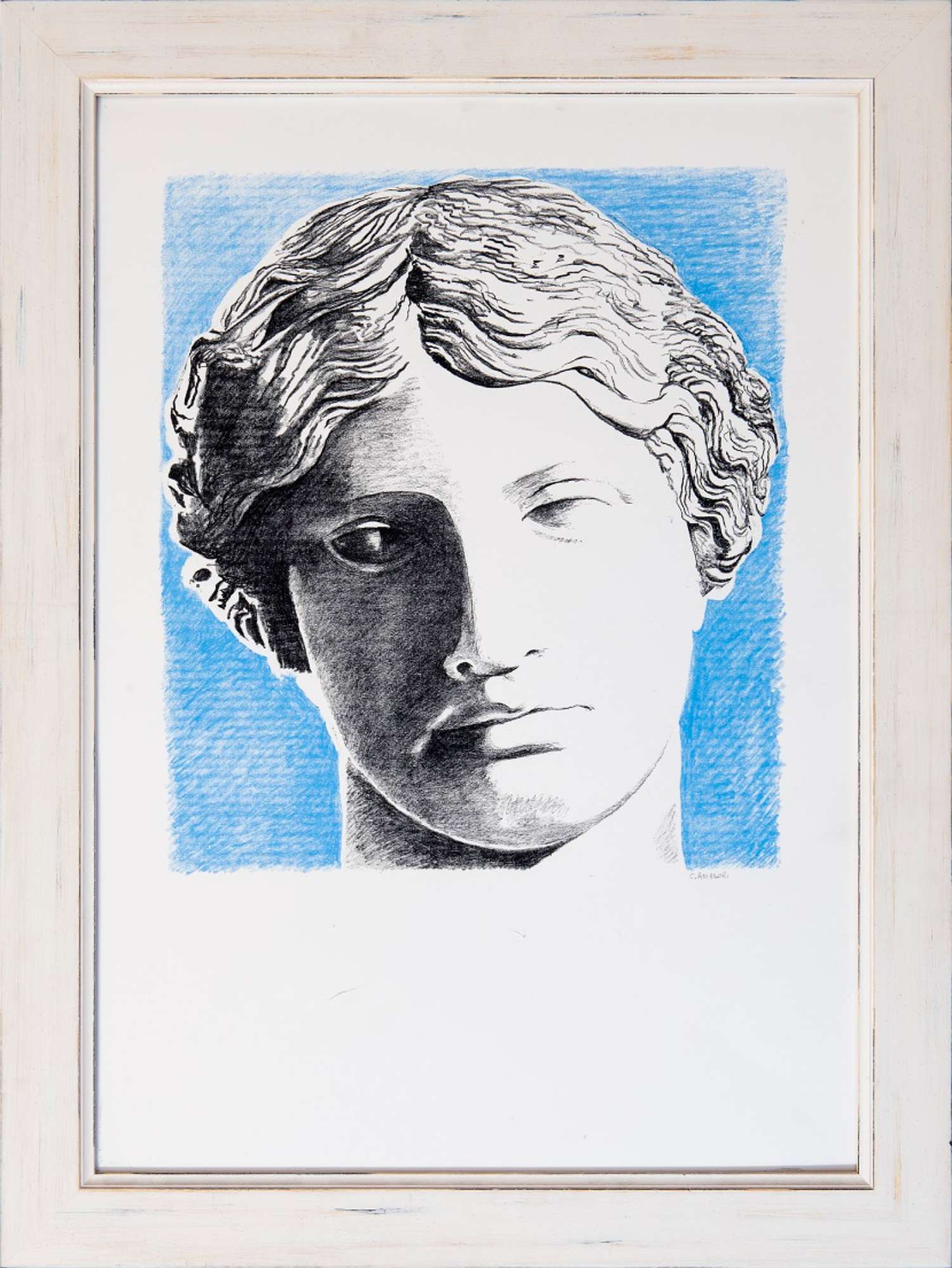 Studio di testa classica, Carlo Amadori. Foto di Andrea Scardova